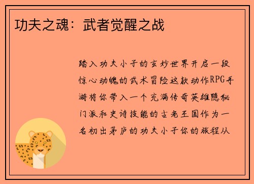 功夫之魂：武者觉醒之战