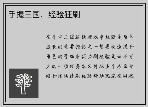 手握三国，经验狂刷
